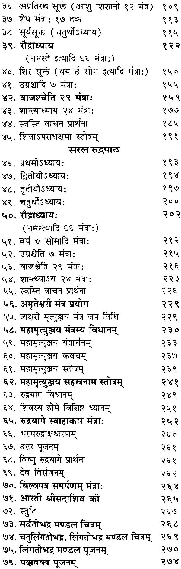 Shuklayajurvediy Rudrashtadhyaye - Image 4